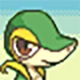 boomsnivy